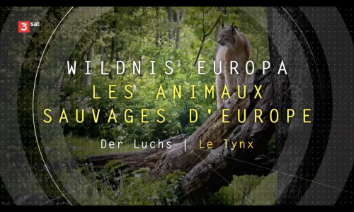 Wildnis Europa
